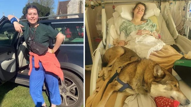 The British student had a nightmare during his vacation… The young woman was paralyzed by the bison attack!
