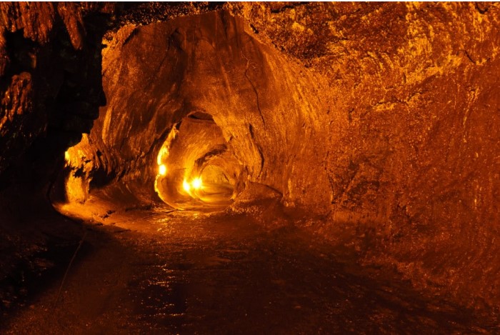 Bacteria: Found in the lava tubes of the Hawaiian Islands