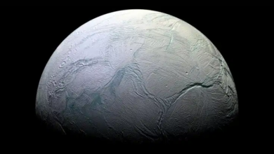 Photo of Phosphorus, the source of life, was detected on Saturn’s moon Enceladus