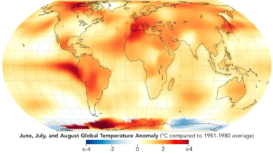 Photo of Hottest Summer on Record: NASA Announces 2023