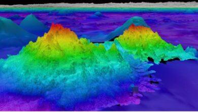 Photo of Gravity anomalies reveal an underwater mountain three times taller than the tallest skyscraper