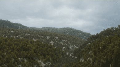 Photo of Epic Games artist creates photorealistic forested mountains in Unreal Engine 5 with Lumen